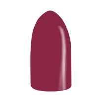 Vernis Gel Color SG1040