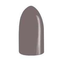 Vernis Gel Color SG1060